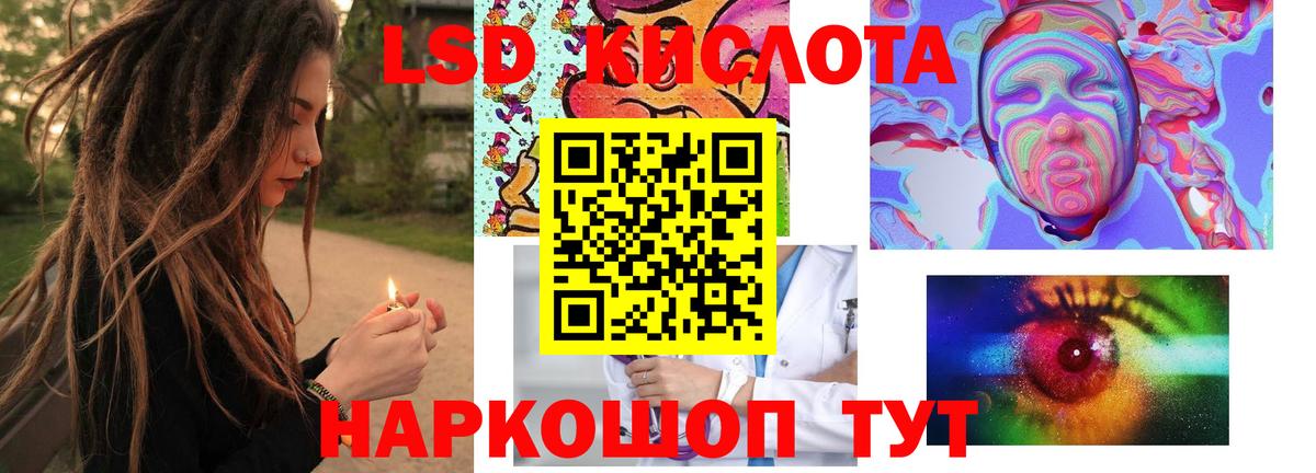 Новозыбков  Лсд 25 экстази кислота  Вход с VPN  Лсд 25 экстази ecstasy 