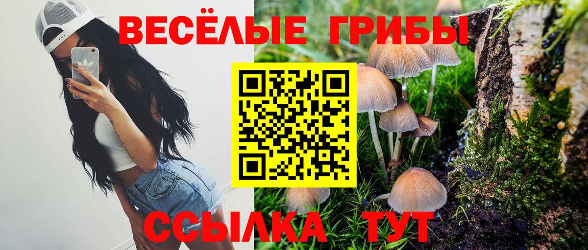 Псилоцибиновые грибы мицелий  Вход с VPN  Новозыбков 
